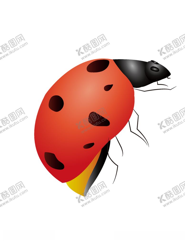编号：88879203280119505404【酷图网】源文件下载-手绘瓢虫