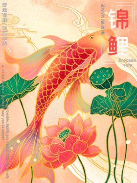 锦鲤