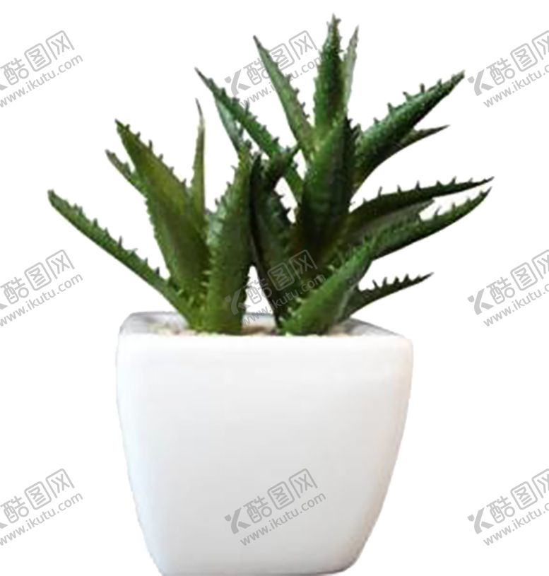 编号：70652510030322545561【酷图网】源文件下载-绿色相框