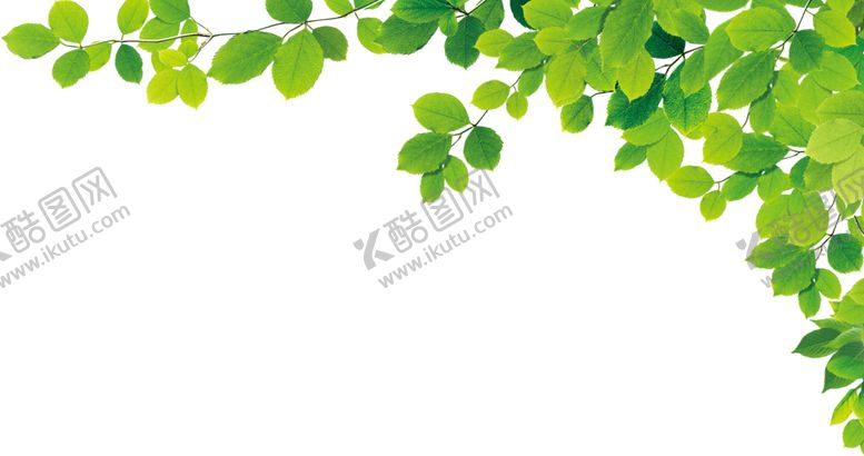 编号：26314506250000436290【酷图网】源文件下载-树叶
