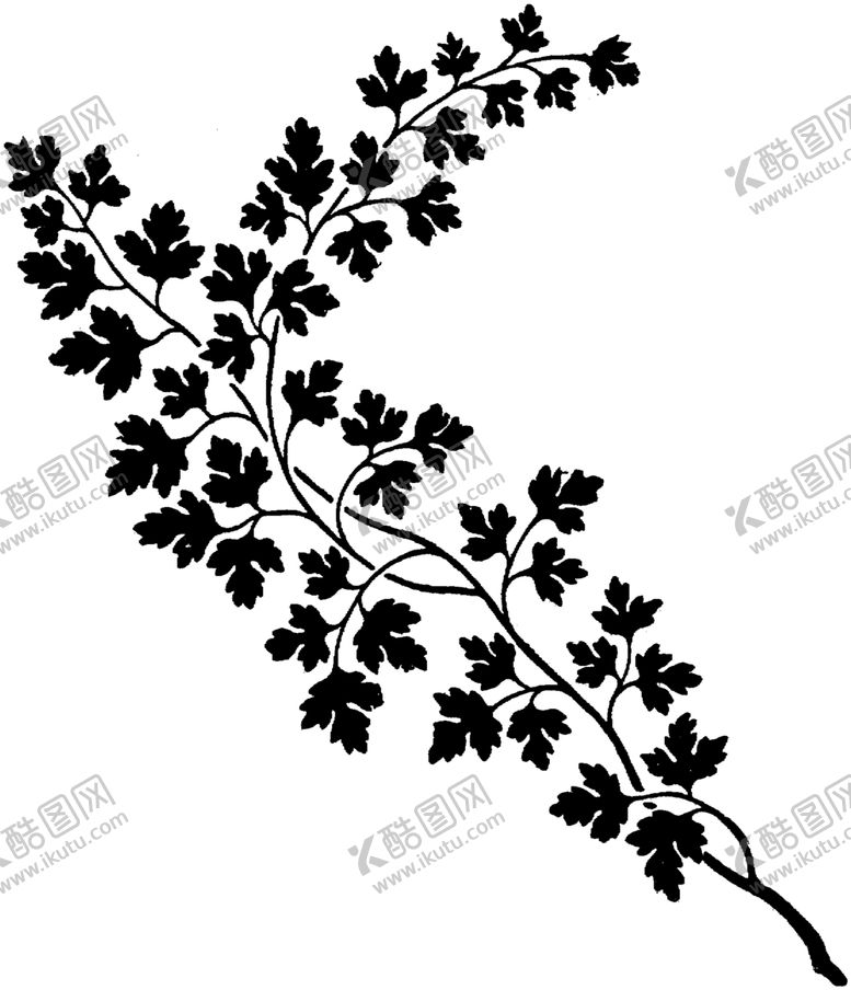 编号：75002705092104214350【酷图网】源文件下载-花纹边框