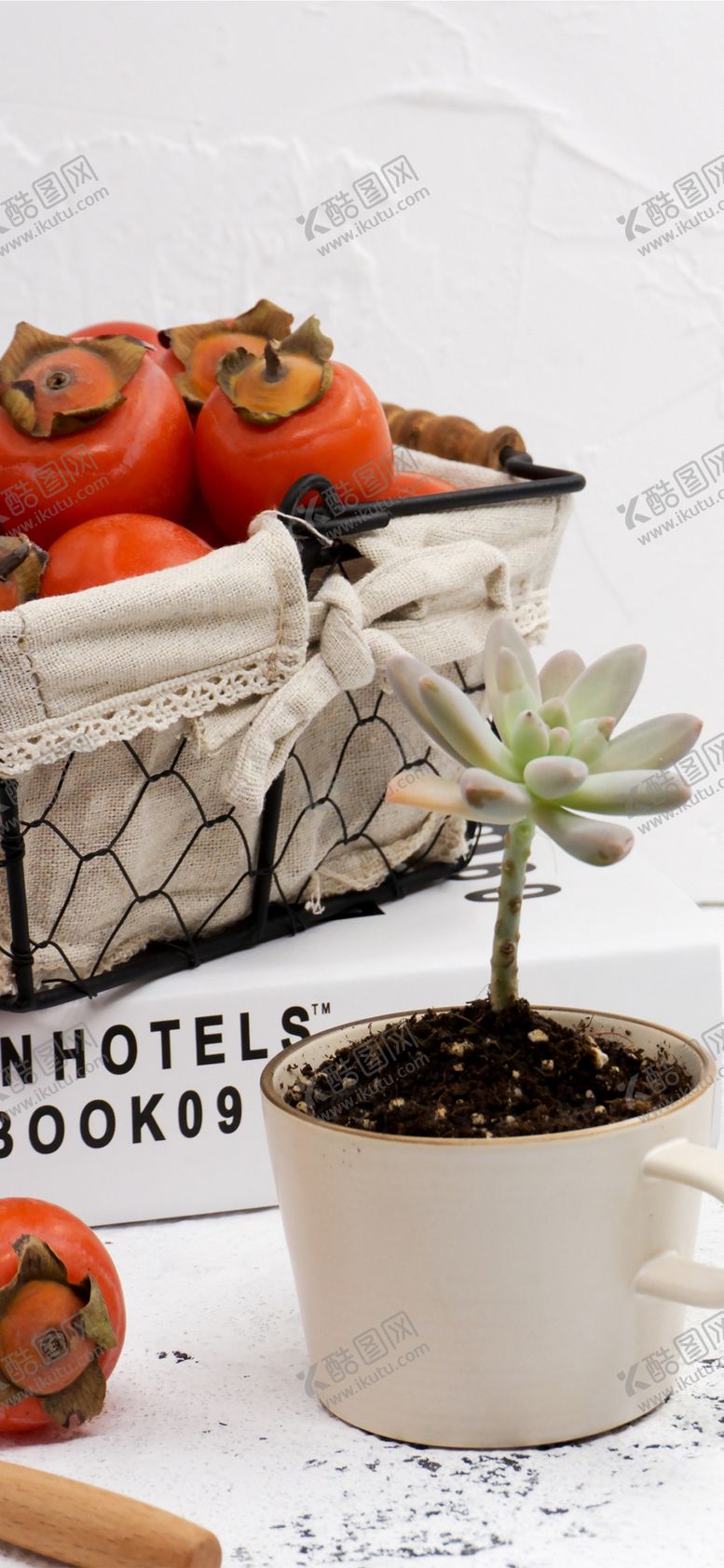 编号：75184009301958158997【酷图网】源文件下载-手机壁纸