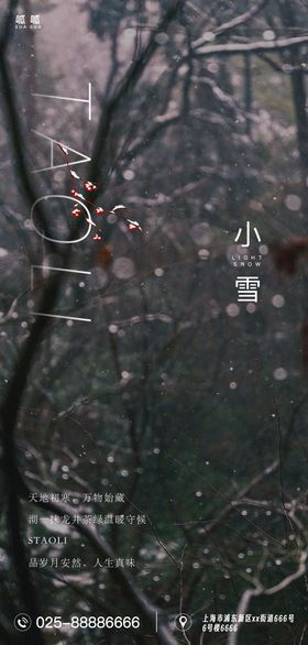 小雪节气海报