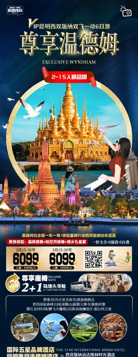 昆大丽西双版纳旅游海报