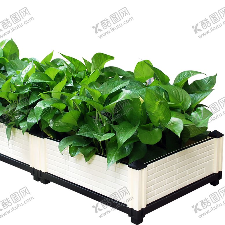 编号：75137210210830454067【酷图网】源文件下载-绿色植物