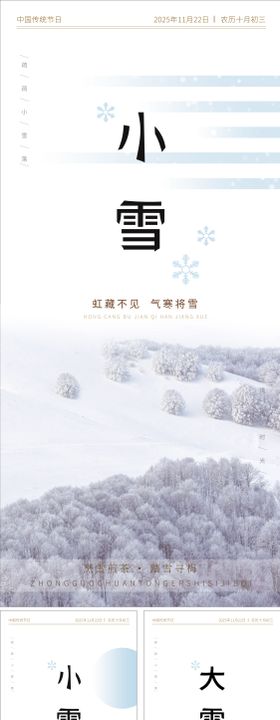 二十四节气之小雪海报