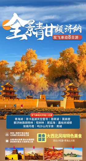 全景青甘额济纳旅游海报