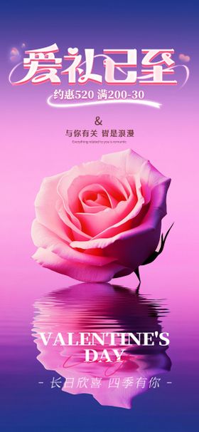 520促销优惠海报