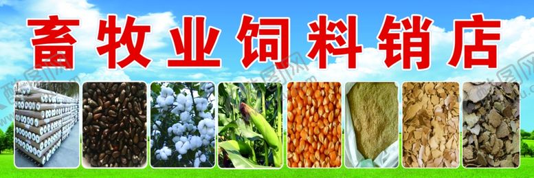 编号：44748102282241442343【酷图网】源文件下载-畜牧业饲料销店