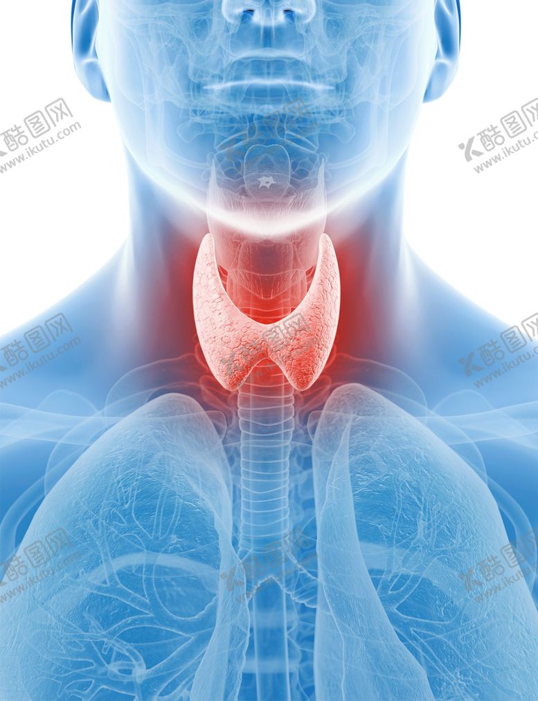 编号：50359409161649533740【酷图网】源文件下载-胰腺甲亢