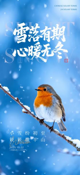 中国传统节气24节气小雪大雪