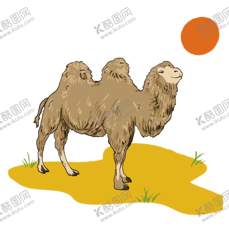 编号：92629509281223449161【酷图网】源文件下载-骆驼插画
