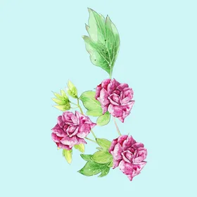 手绘水彩花卉 
