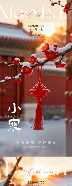 小寒大寒系列海报