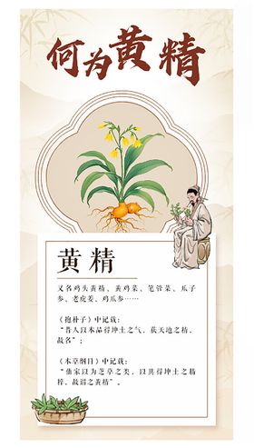 黄精简介