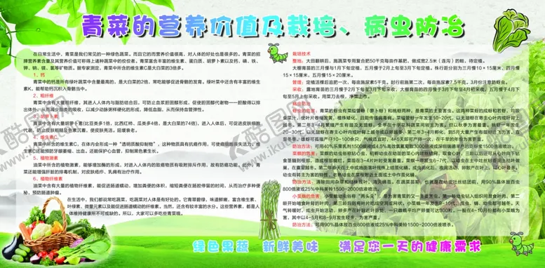 编号：44554206271332057020【酷图网】源文件下载-青菜的营养价值
