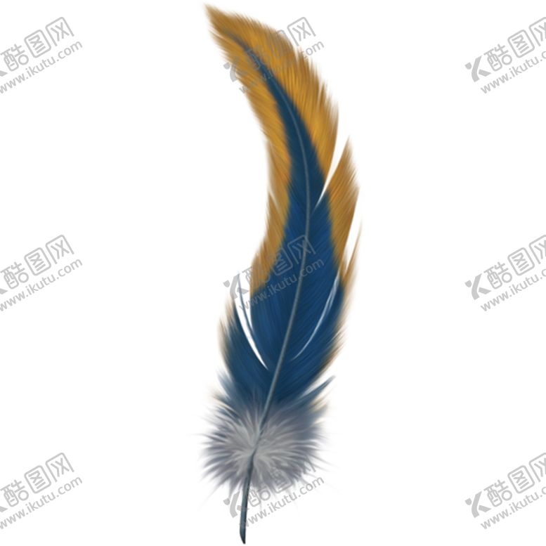 编号：53840604191700046217【酷图网】源文件下载-羽毛