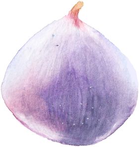 花卉月季绣时尚