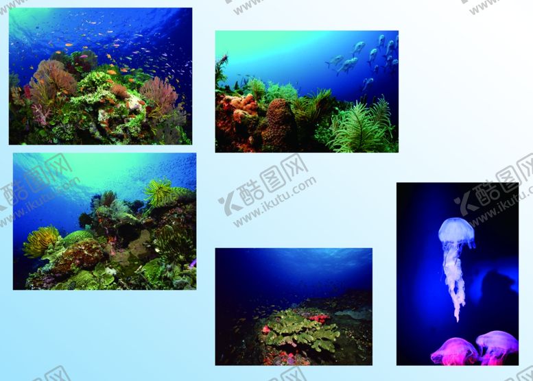 编号：44471306190210301315【酷图网】源文件下载-海底世界风景