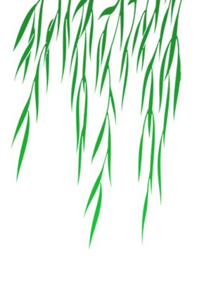 柳叶