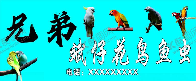编号：57816601271856397291【酷图网】源文件下载-花鸟鱼虫店招