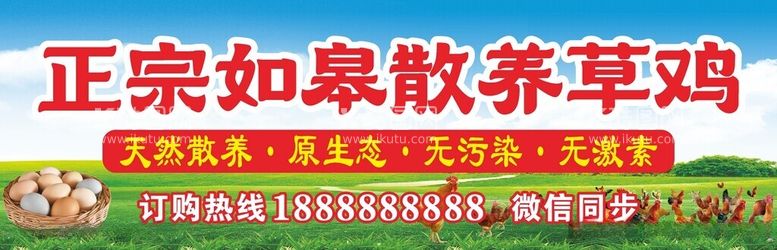 编号：83692212160237491818【酷图网】源文件下载-农家散养土鸡纯天然海报喷绘