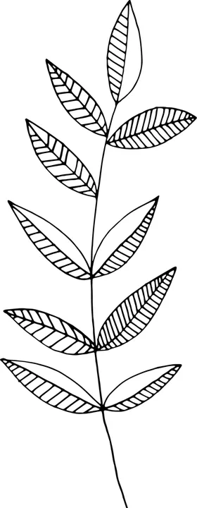 秘密花园鲜树叶免扣图线稿