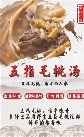 五指毛桃炖汤