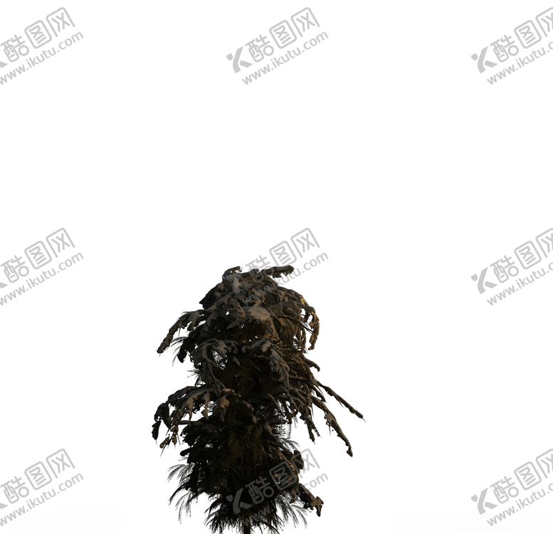 编号：99518210190516431465【酷图网】源文件下载-树木