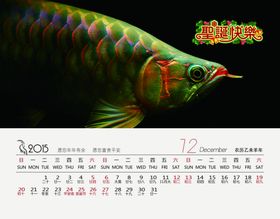 红龙鱼水族观赏鱼日历