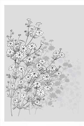 线描花朵