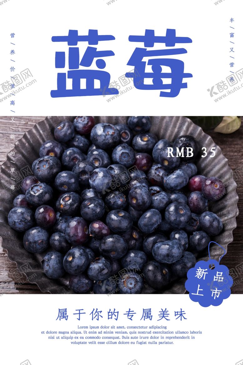 编号：94912306161205568960【酷图网】源文件下载-蓝莓