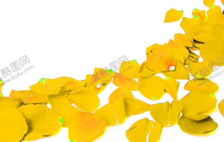 编号：44861710101719131282【酷图网】源文件下载-花素材