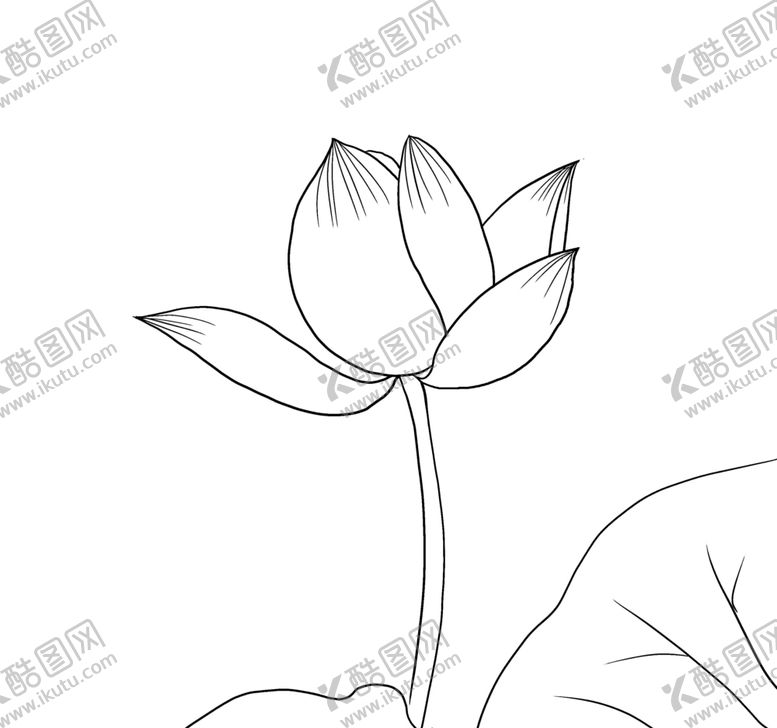 编号：75303710231437305057【酷图网】源文件下载-荷花