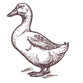 家养动物主题插画