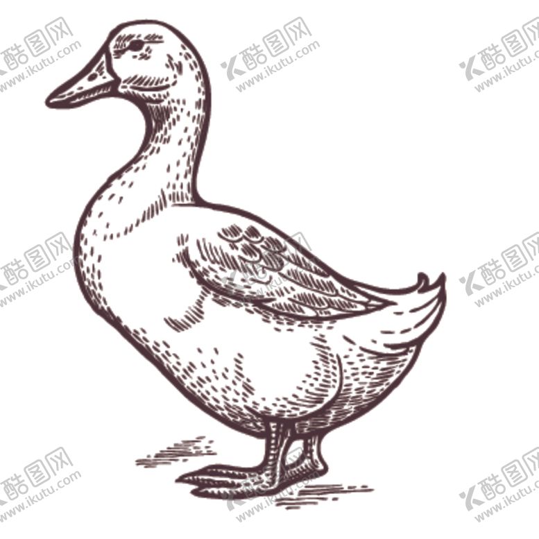 编号：78217305142231342769【酷图网】源文件下载-家养动物主题插画