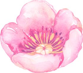 水彩手绘花卉花朵植物叶子绿叶矢量树叶