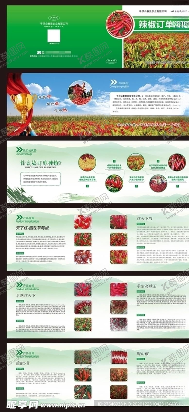 编号：74166705020346206321【酷图网】源文件下载-农业绿色辣椒画册种植