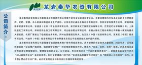 公司简介