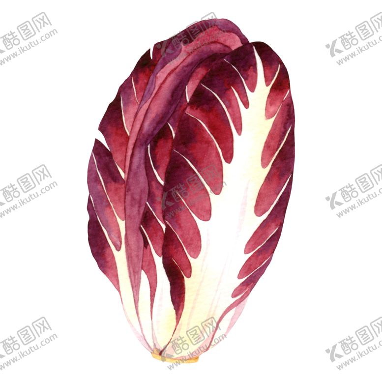 编号：43956609180309308716【酷图网】源文件下载-水彩创意插画水果