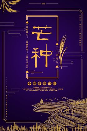 芒种海报