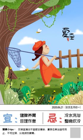 夏至二十四节气海报
