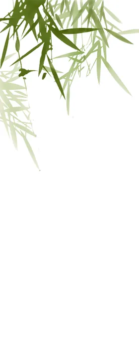 竹子竹叶