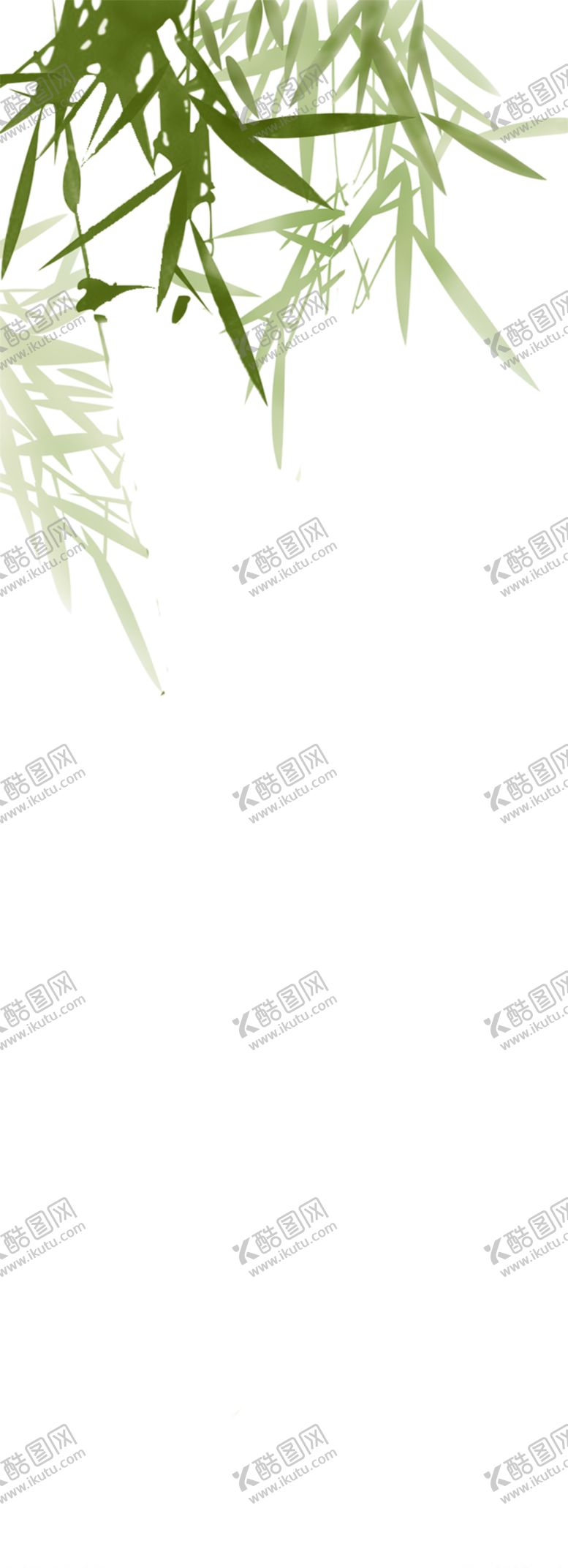 编号：95470110111757502739【酷图网】源文件下载-竹子竹叶