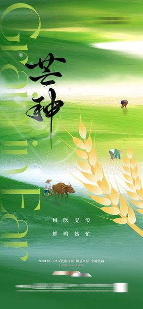 芒种海报
