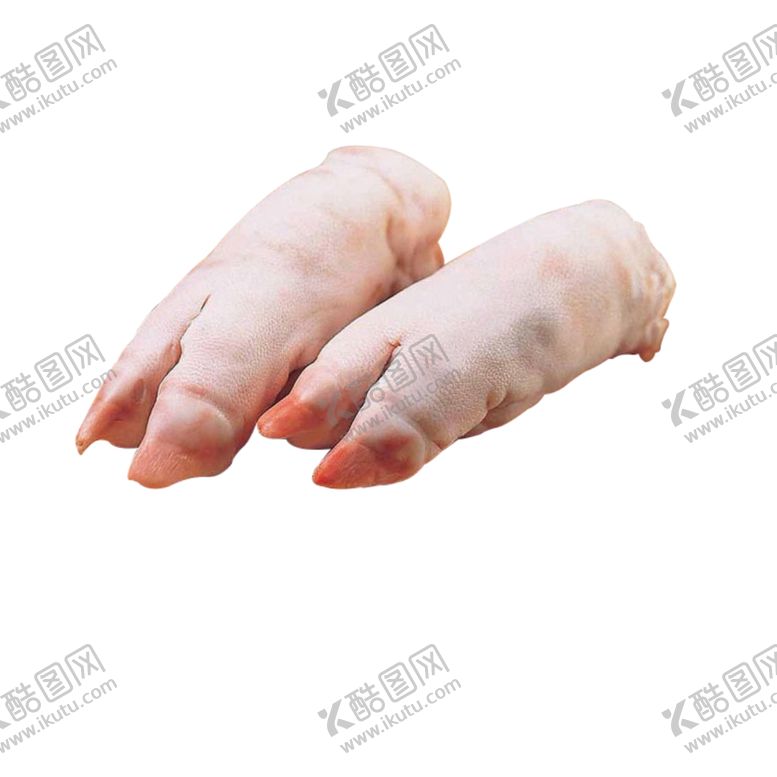 编号：85338704171836546403【酷图网】源文件下载-生猪蹄