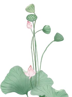 中国古风传统花鸟图案