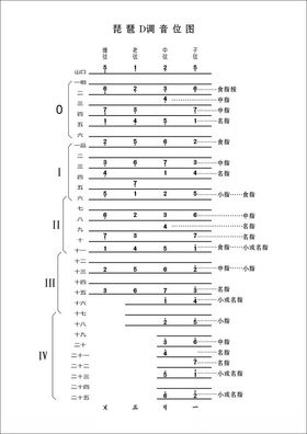 琵琶D调把位图