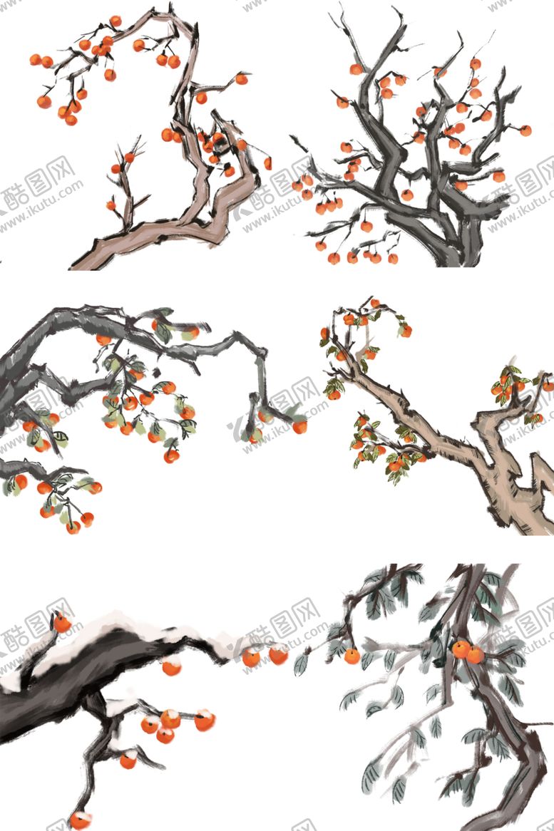 编号：28293110071811491023【酷图网】源文件下载-冬季柿子素材