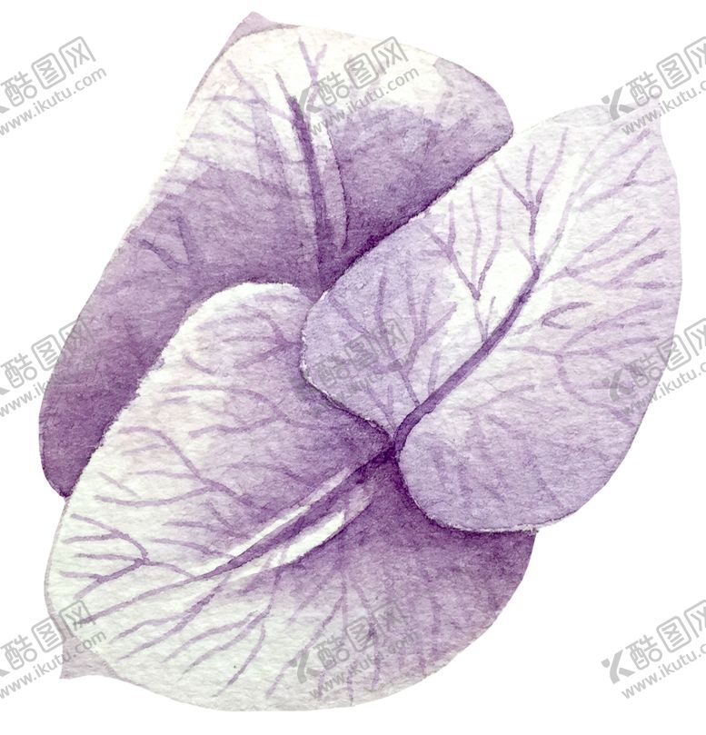 编号：96432610291728276500【酷图网】源文件下载-手绘植物